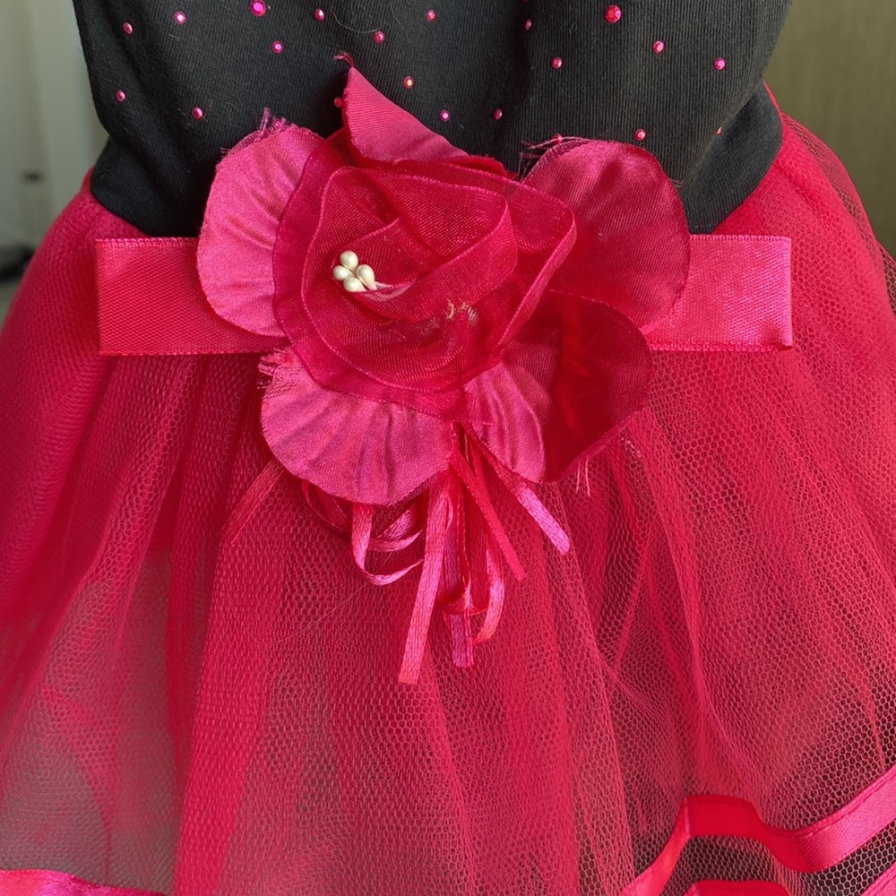 Dog Dress Black and Fuchsia. Size M - Picture 7 of 13